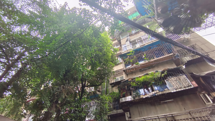 方正东街26号外景图