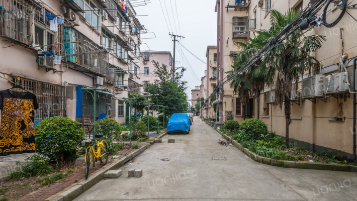 虎林路518弄外景图