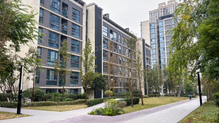 万科星光森林A区外景图