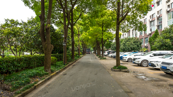 森林公馆乐莫苑外景图