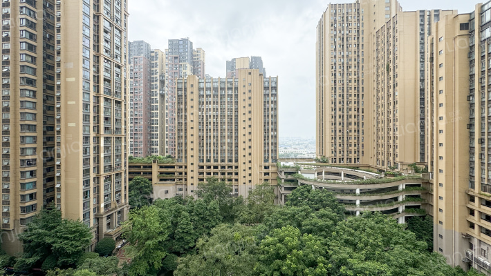 龙城国际五期外景图