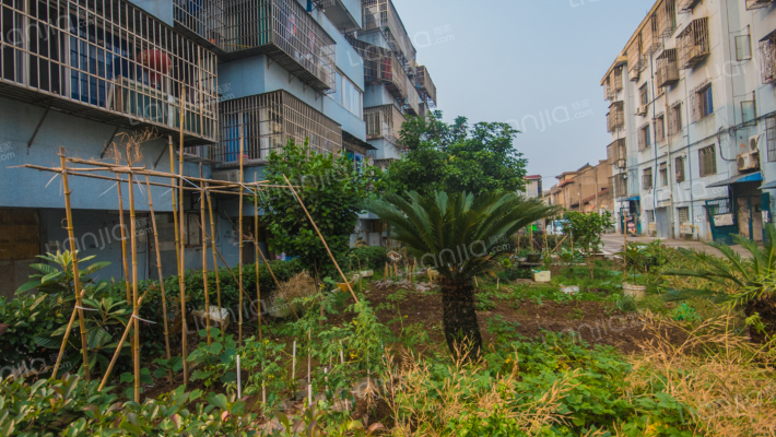 凤怡新村外景图