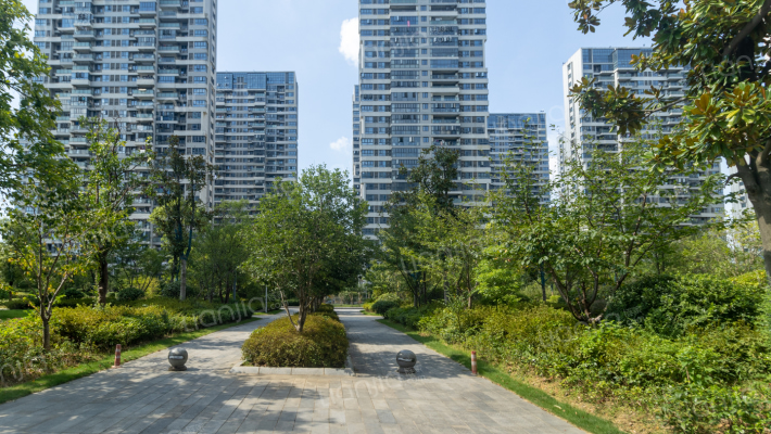 和正智汇谷外景图