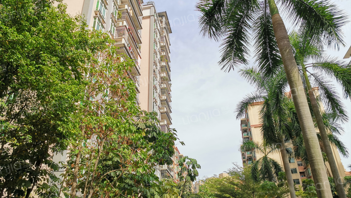 钻石豪园外景图