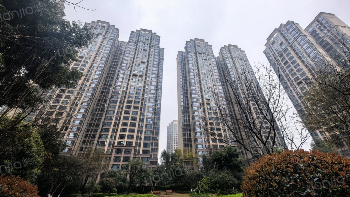 保利玫瑰花语外景图