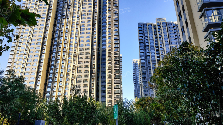 中建国际港外景图