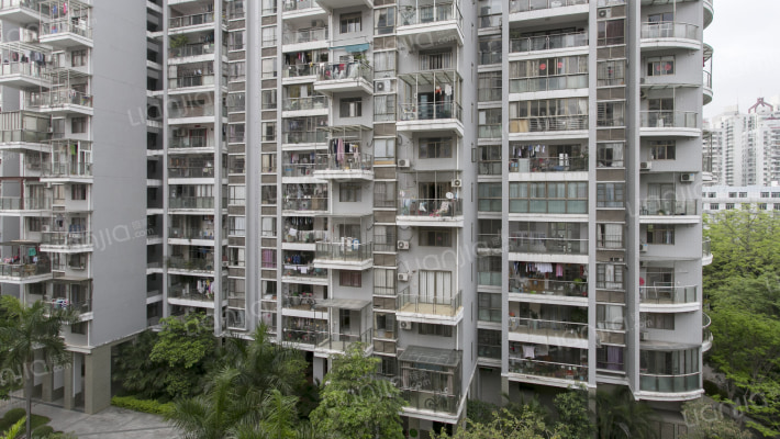 橄榄绿洲外景图