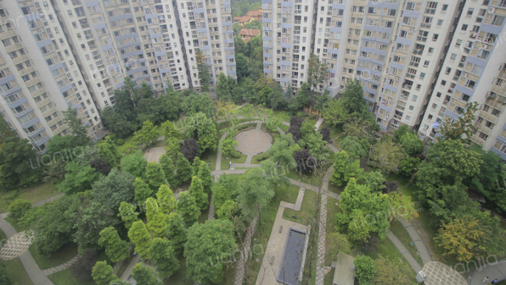 东山国际新城E区外景图