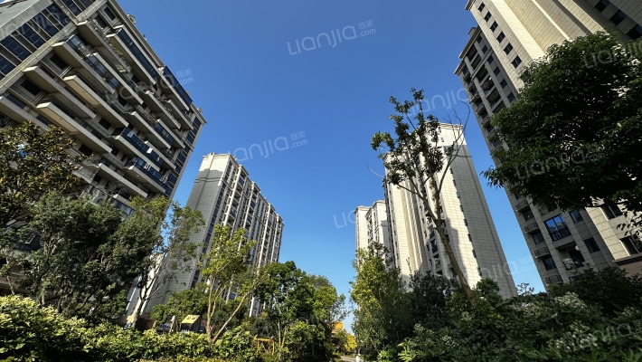 碧桂园学府1号外景图