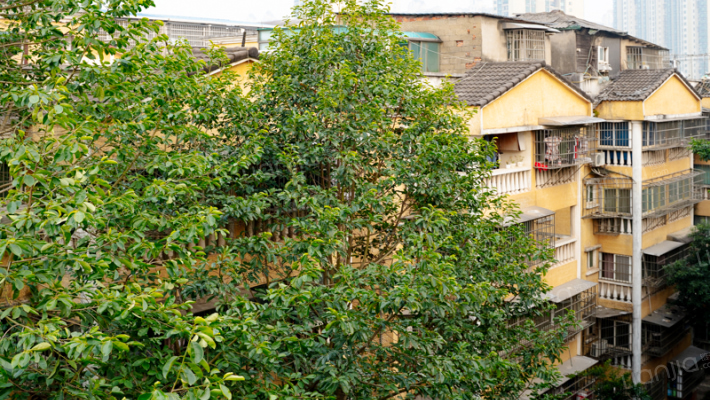 御景龙城外景图