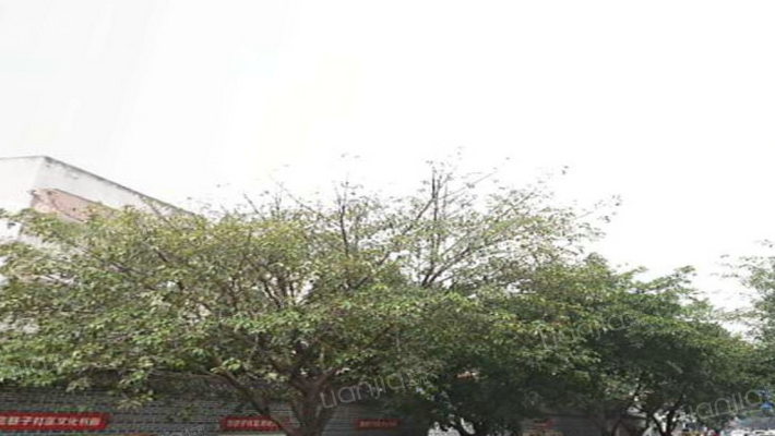 支矶石街3号外景图