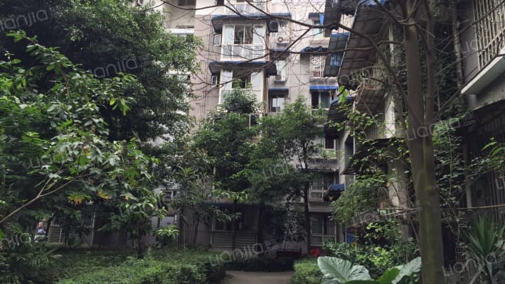 新桥丽景A区外景图