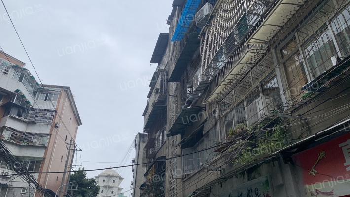 园丁街23号外景图