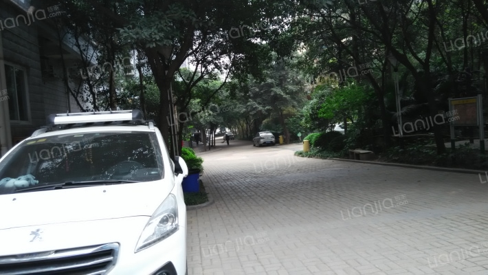 朵力欣元A区外景图