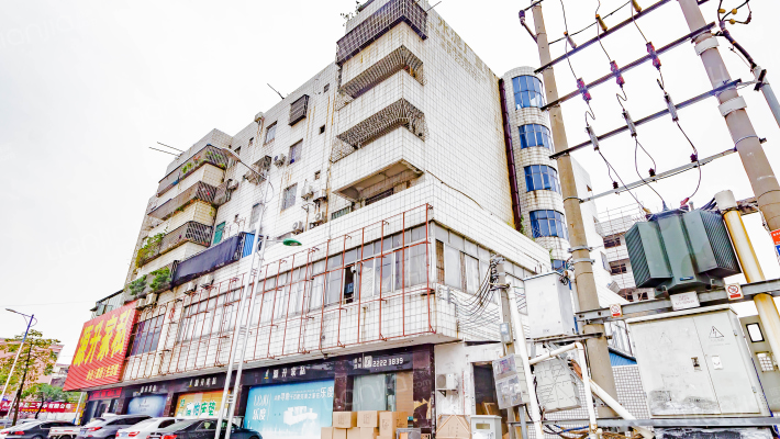 葵兴大道外景图