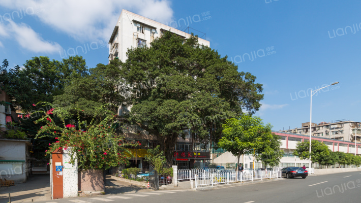 港务局宿舍外景图