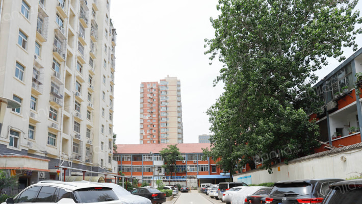 白鸽新园外景图