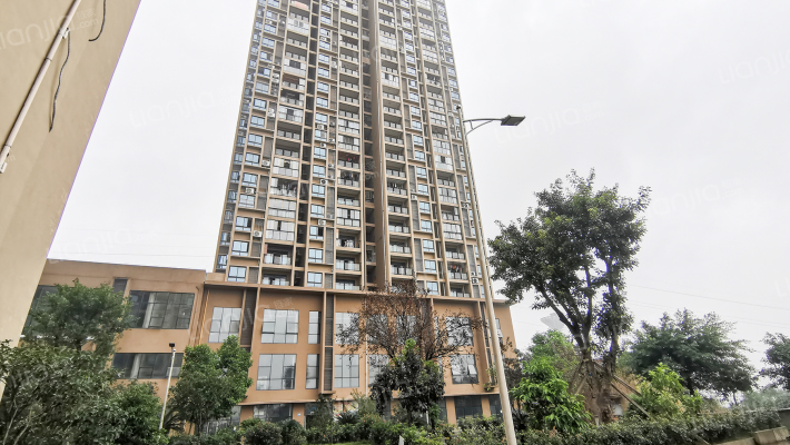 蟠龙龙蟠凤逸外景图