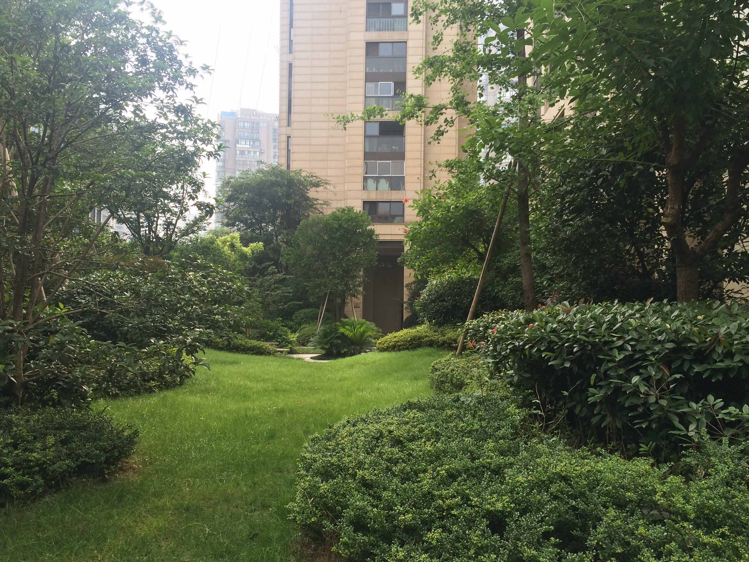 江南望庄小区实景 5