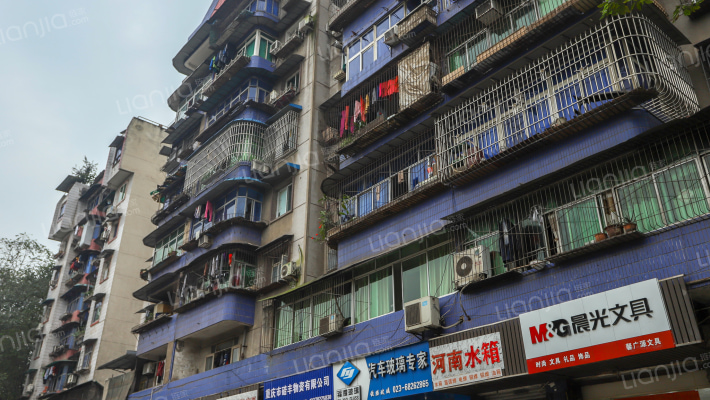 毛背沱133号外景图