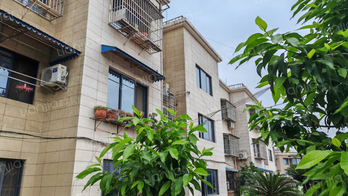 建设路250号外景图