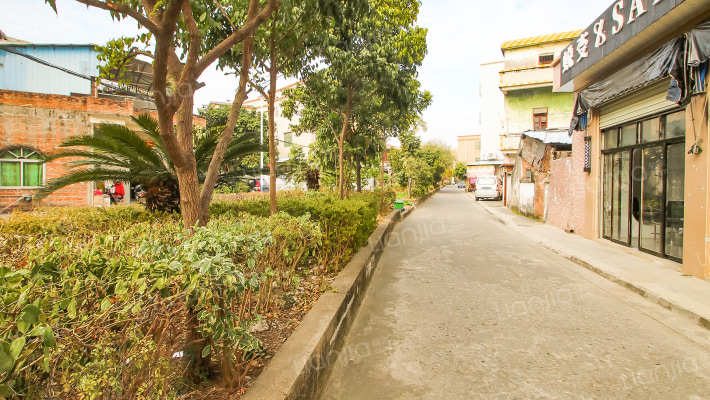 阜城东路一巷外景图