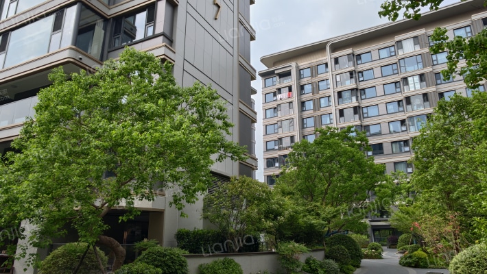 建发青云上外景图