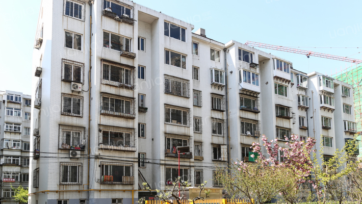 南尧街1-11号外景图