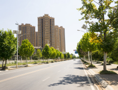 中建汤逊湖壹号实景图