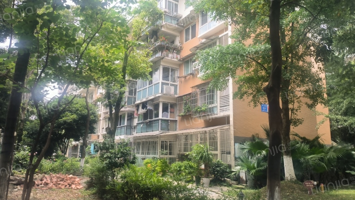 古堰春晓外景图