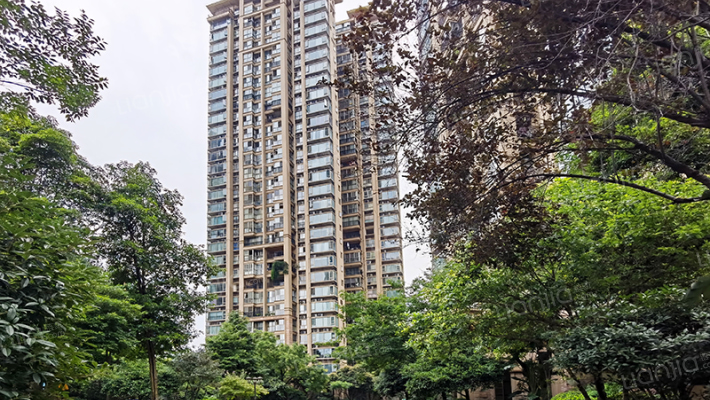 佳乐国际城三期外景图