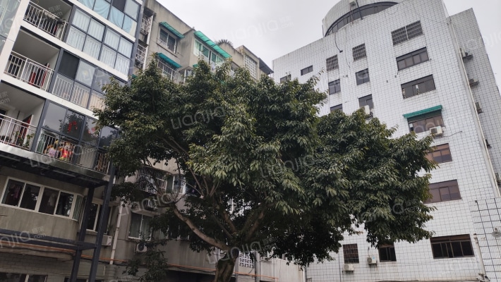 蜀州北路261号外景图