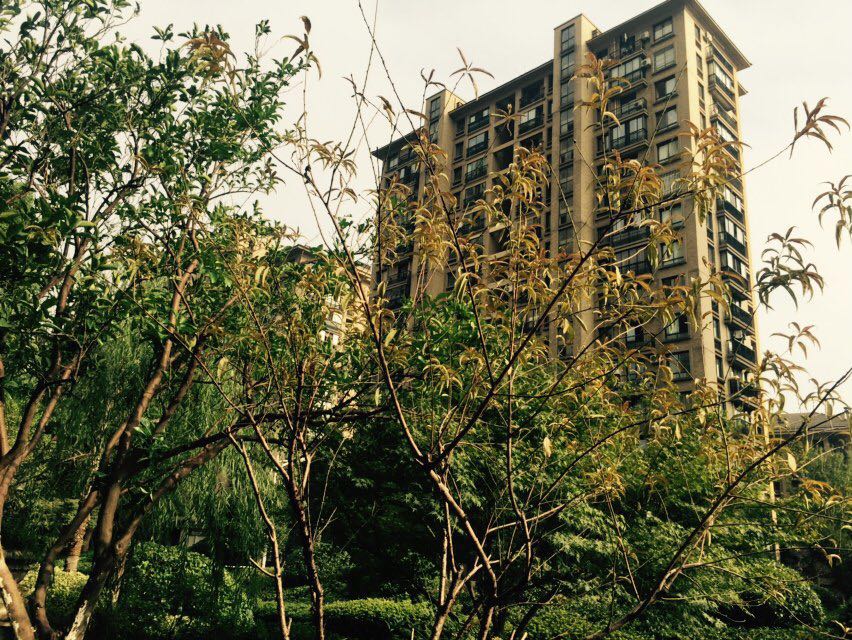 Jiangnan Moka compound photo 22