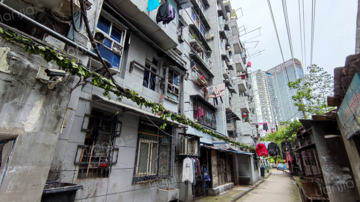 解放大道486号外景图