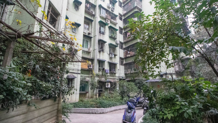 金星花园外景图