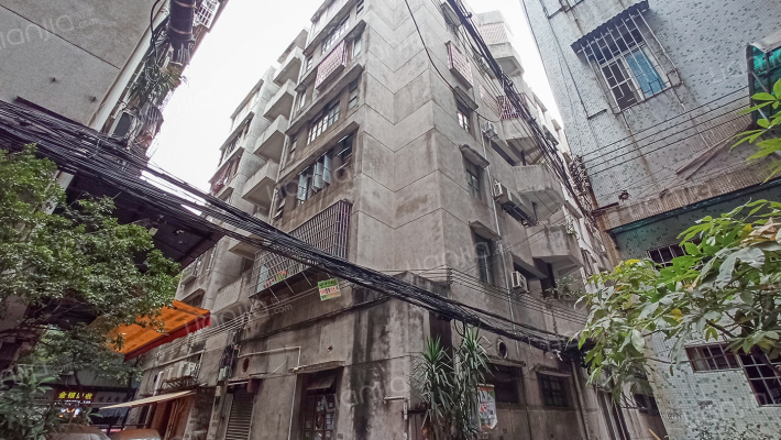 粮加厂宿舍外景图