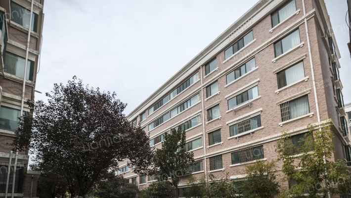 河南省理工学校家属院外景图