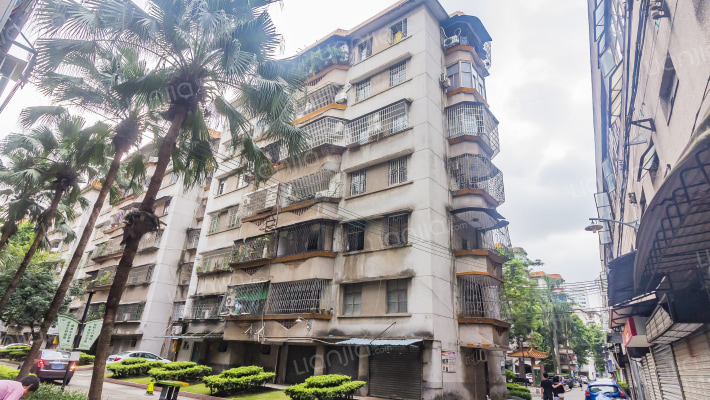 桂城玉兰村外景图