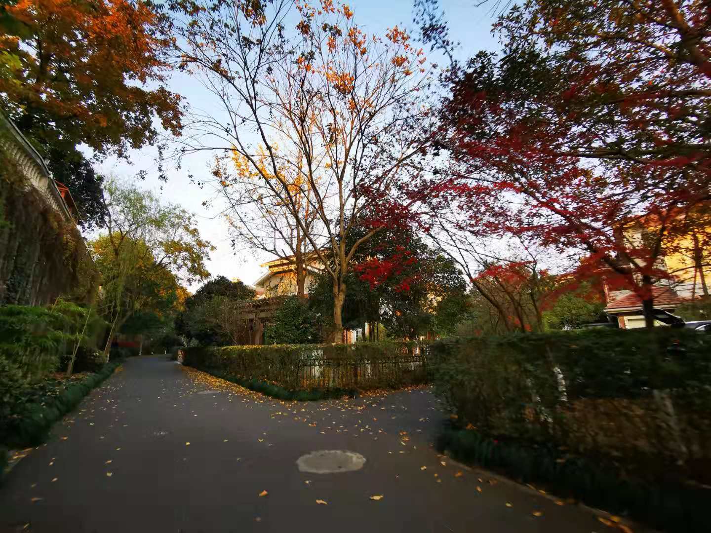 Jing Yue Bay compound photo 29