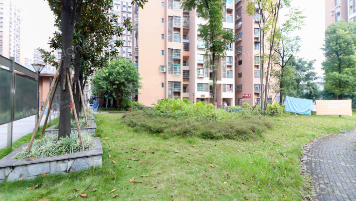龙桥花苑四组团外景图