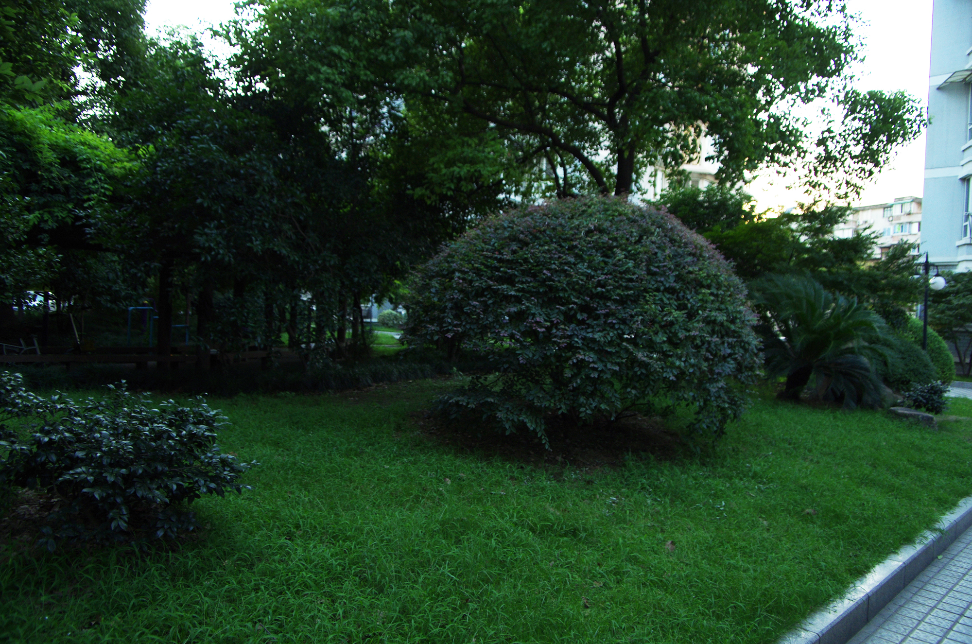 Chaohui qi xiaoqu compound photo 25
