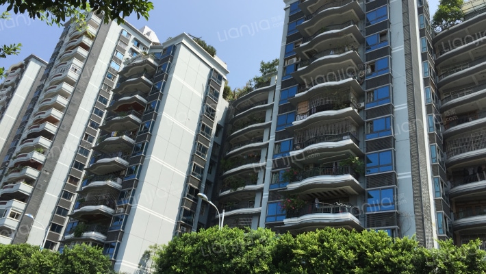 滨江鼎苑外景图