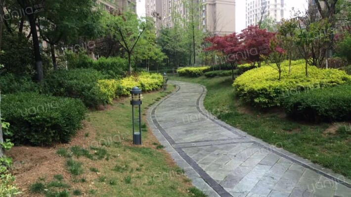 中海银海1号外景图