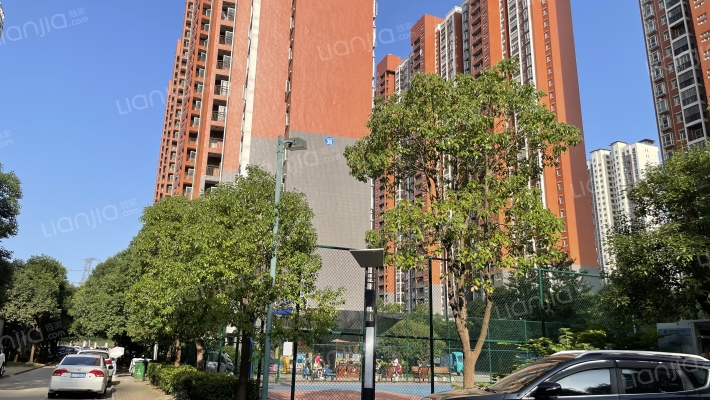 奓山新社区外景图