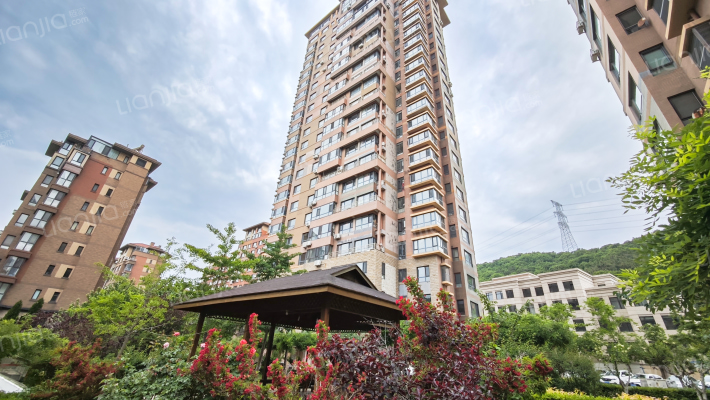 泊林映山A区外景图