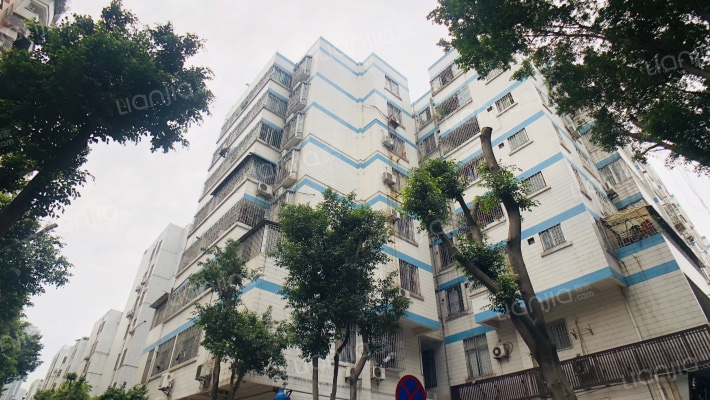 南新一路外景图