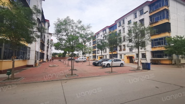 中花园公寓外景图