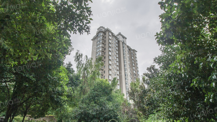 江东中路外景图