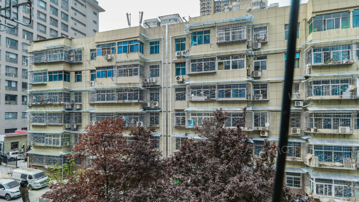 光大巷3号外景图