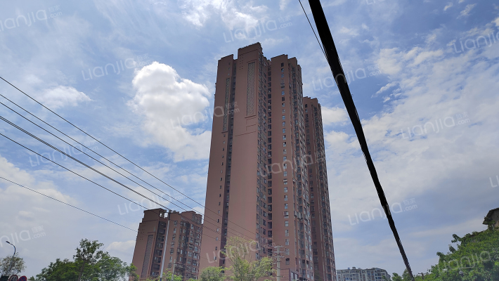 君悦中央一期外景图